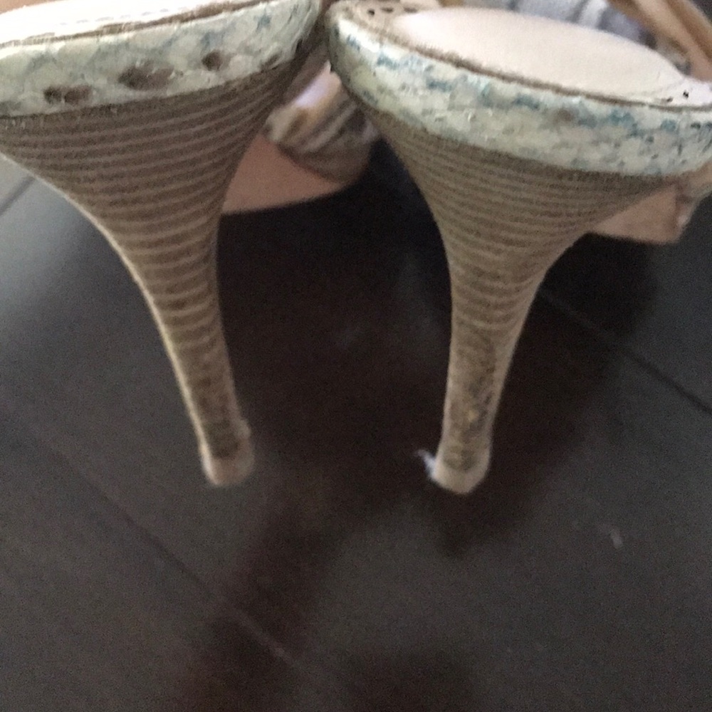 Coach Snake/Python Leather Shoes - image 4